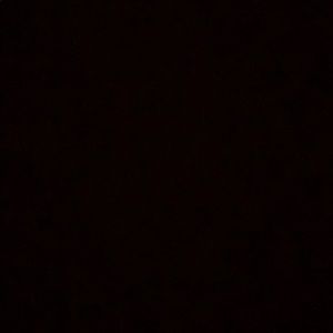 Meet your Posher, Dylan